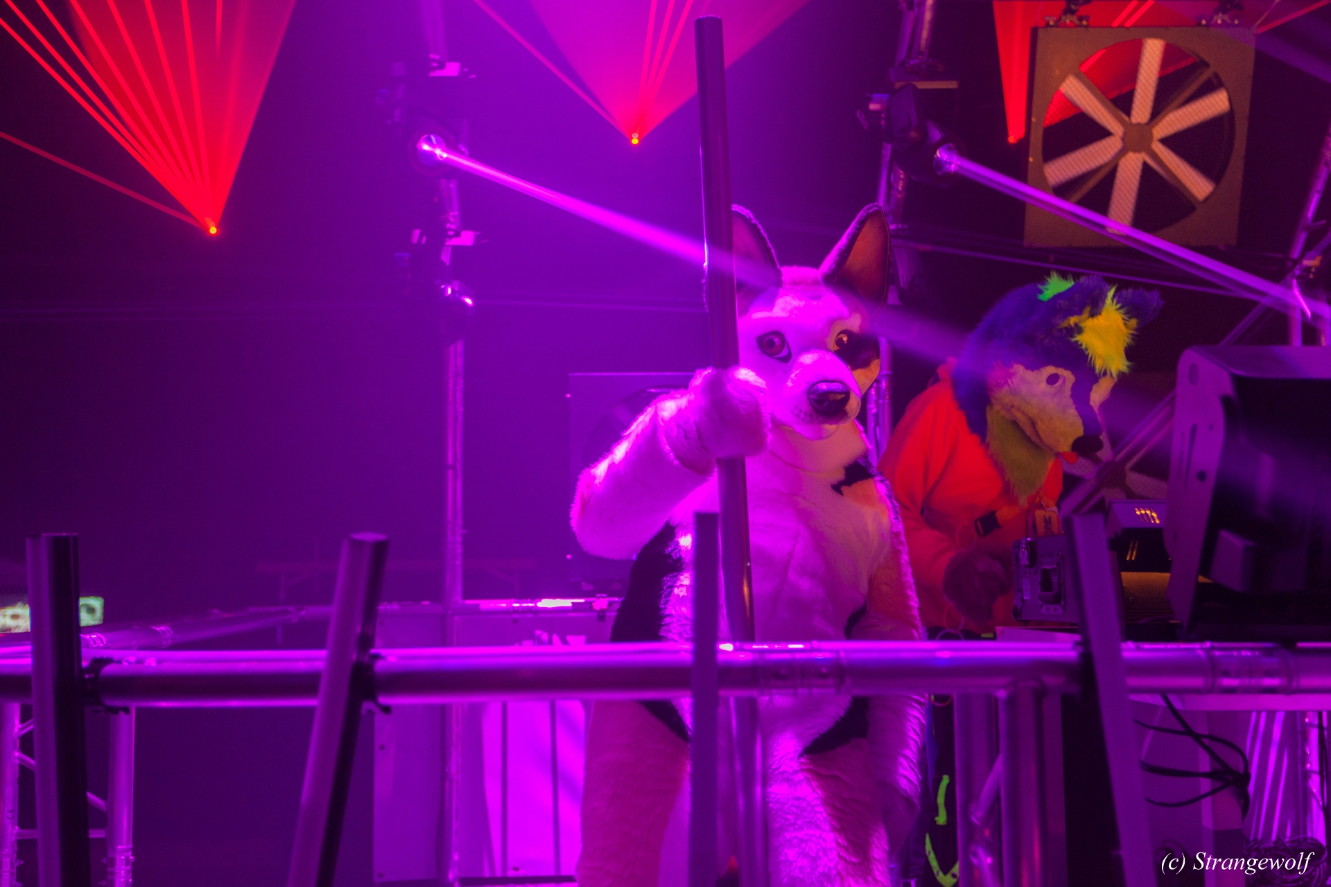 full image IMG_5032-lr19t.jpg