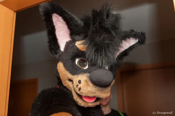 IMG_4779-lr19t.jpg of EF/EF24/