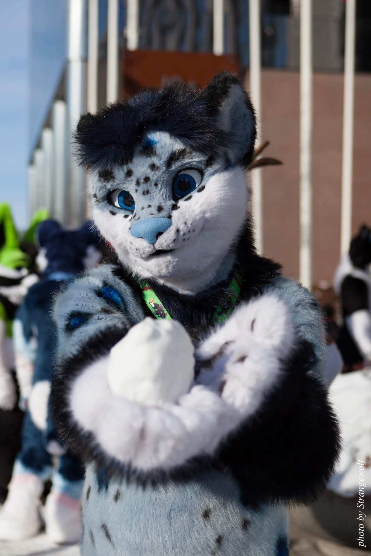 full image IMG_9607-lr19t.jpg