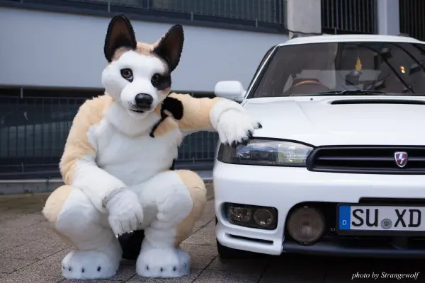 IMG_6870-lr19t.jpg of EF/EF23/MotorFurs/