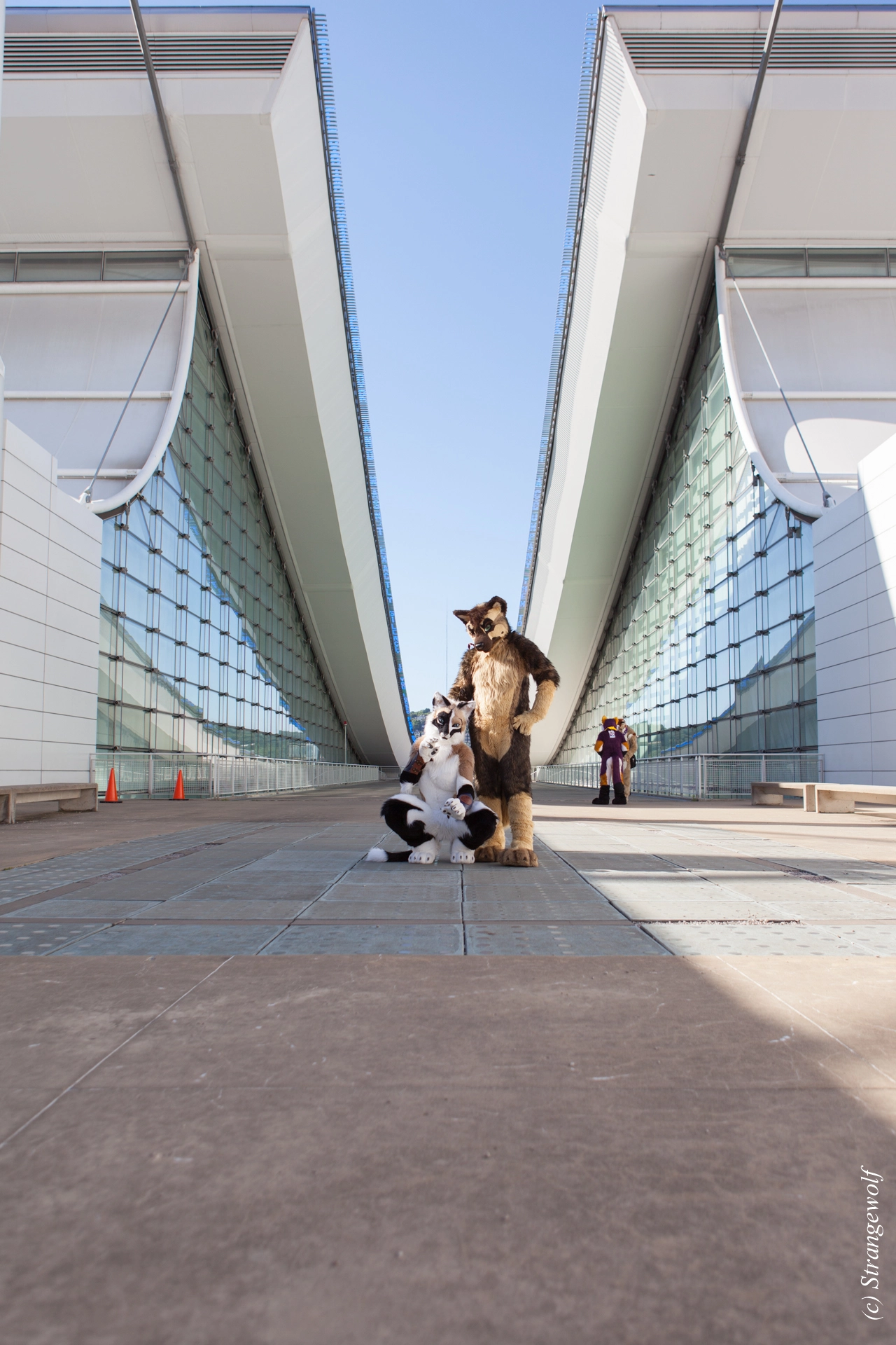 full image IMG_4186-lr19t.jpg