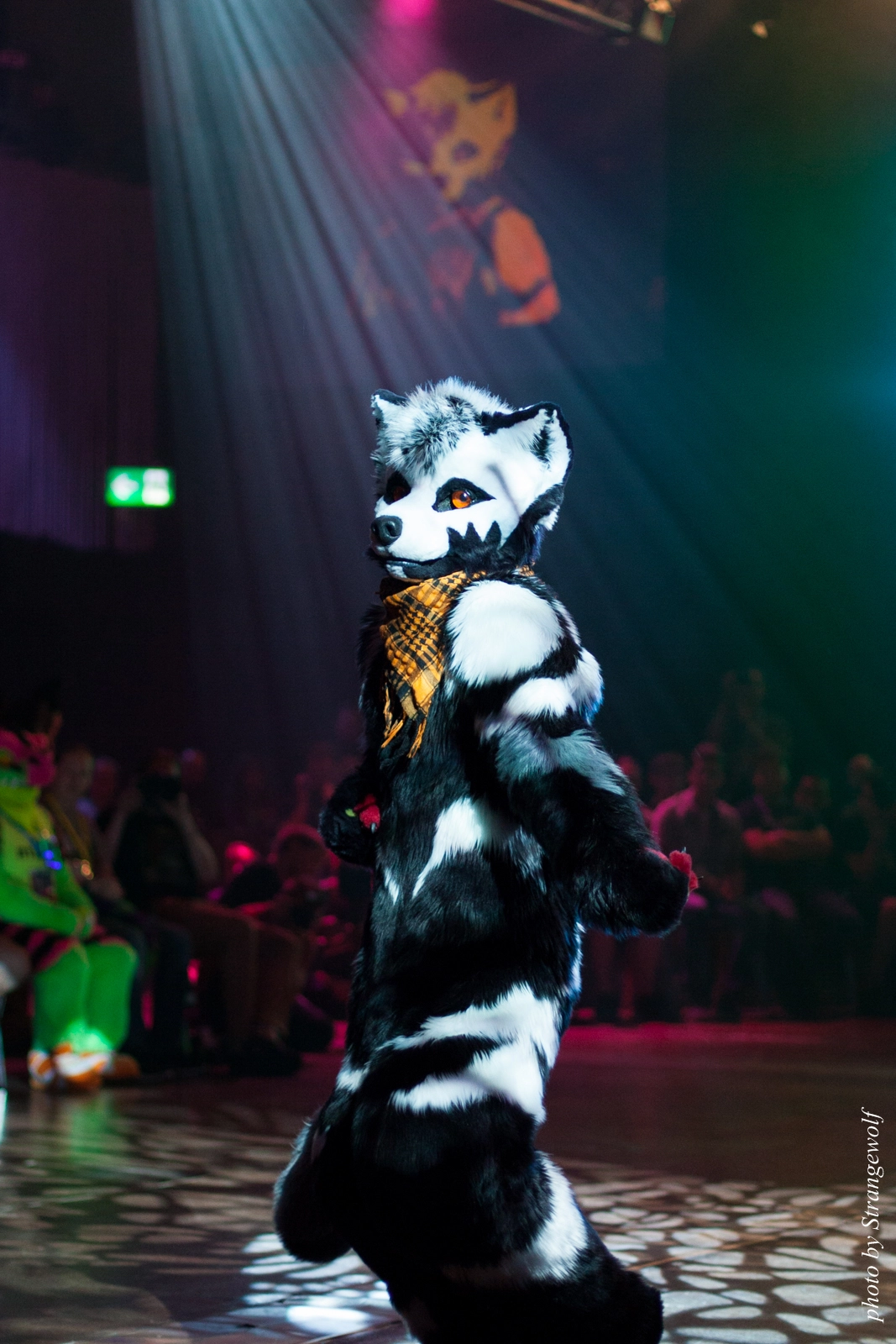 full image IMG_9804-lr16t.jpg