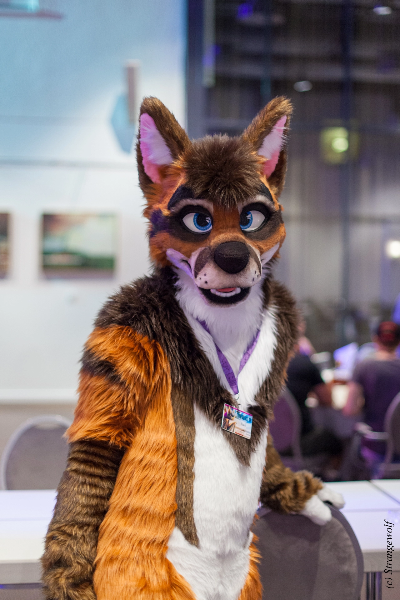 full image IMG_4741-lr19t.jpg