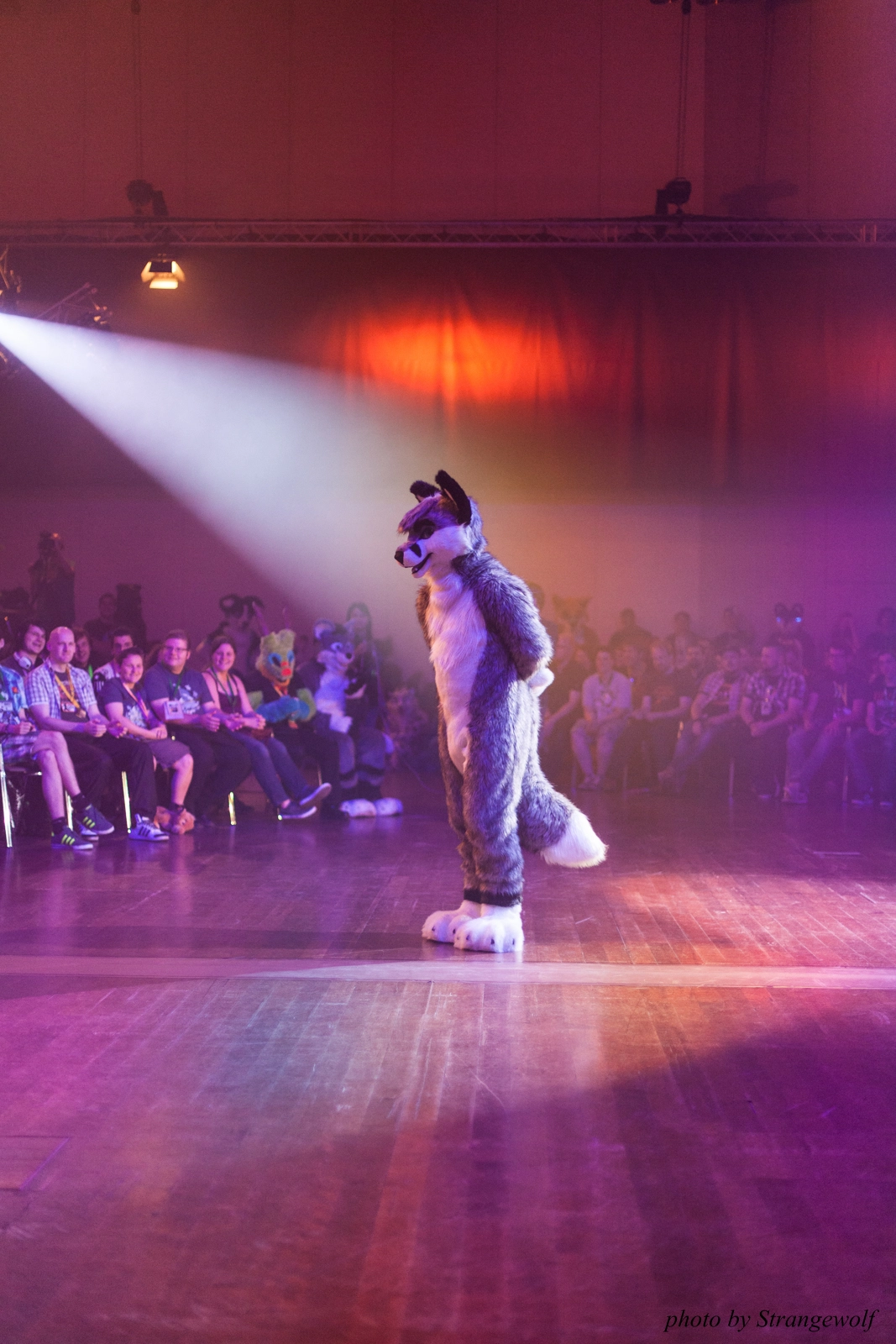 full image IMG_2967-lr16t.jpg