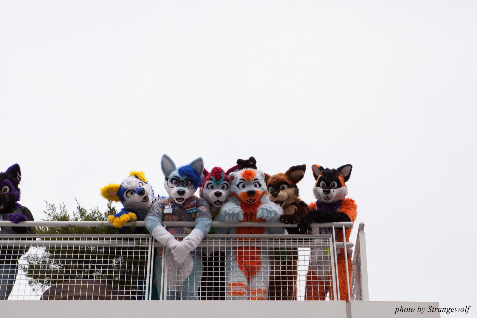 full image IMG_8204-lr16t.jpg