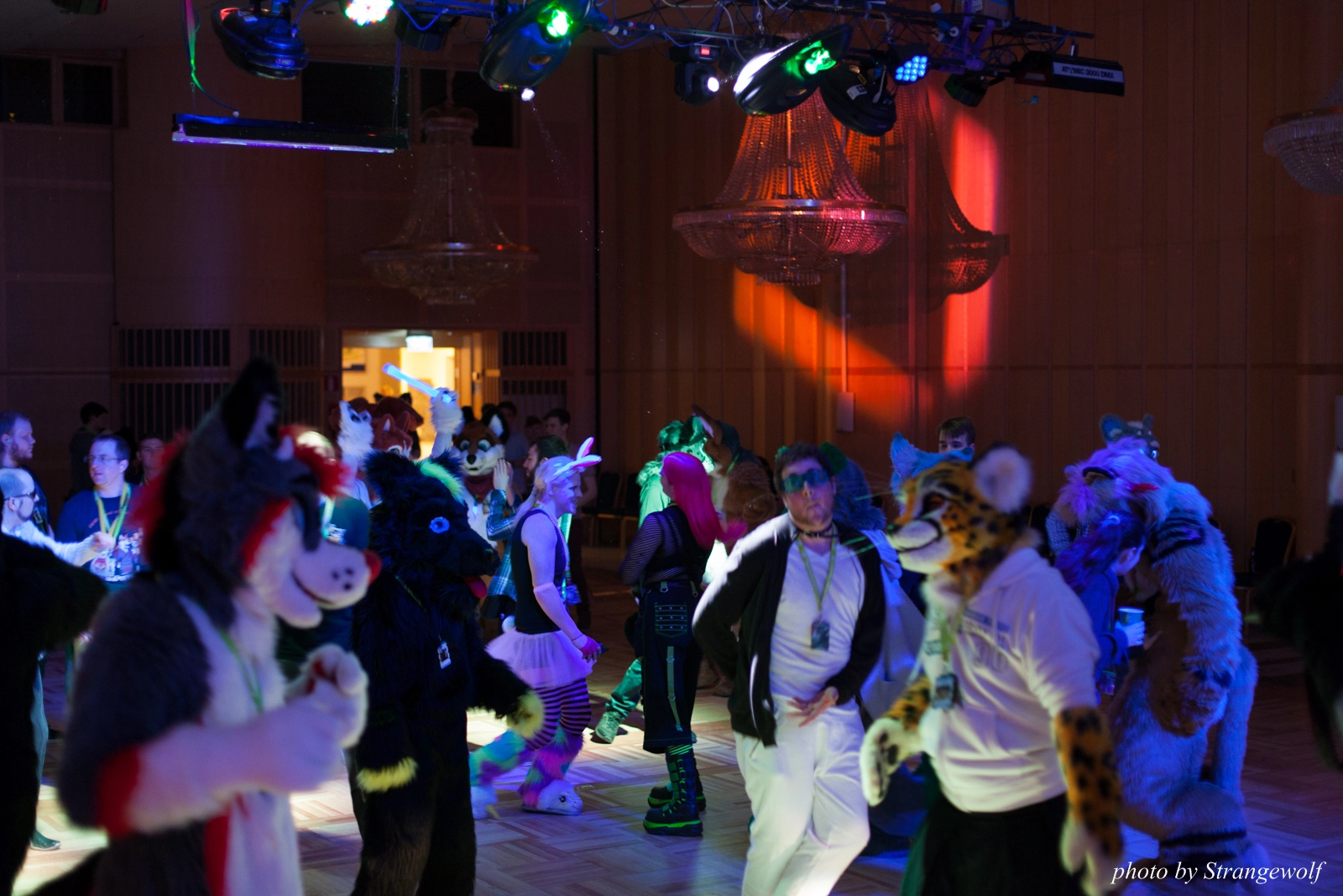 full image IMG_1813-lr16t.jpg