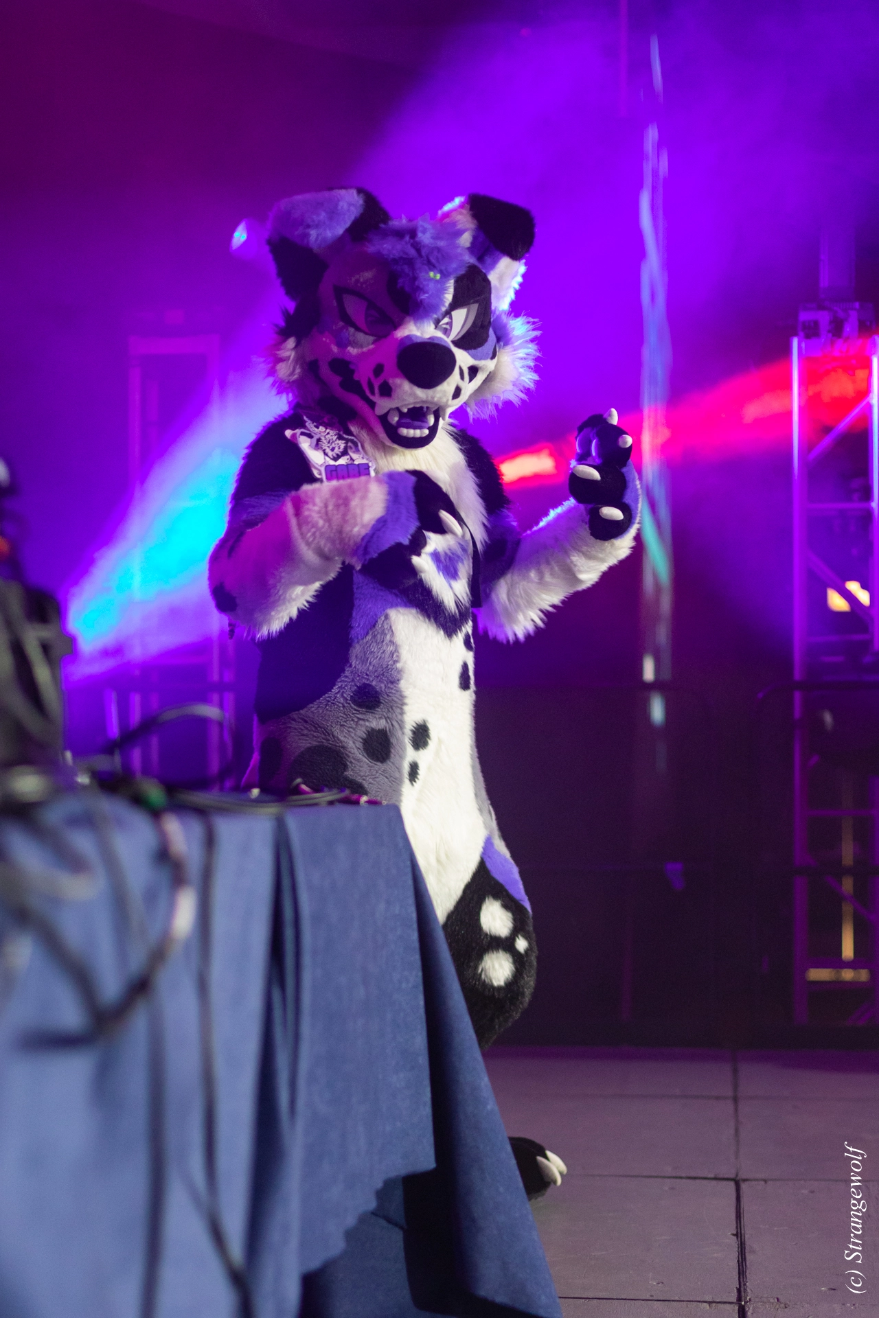 full image 1R3A0780-lr19t.jpg