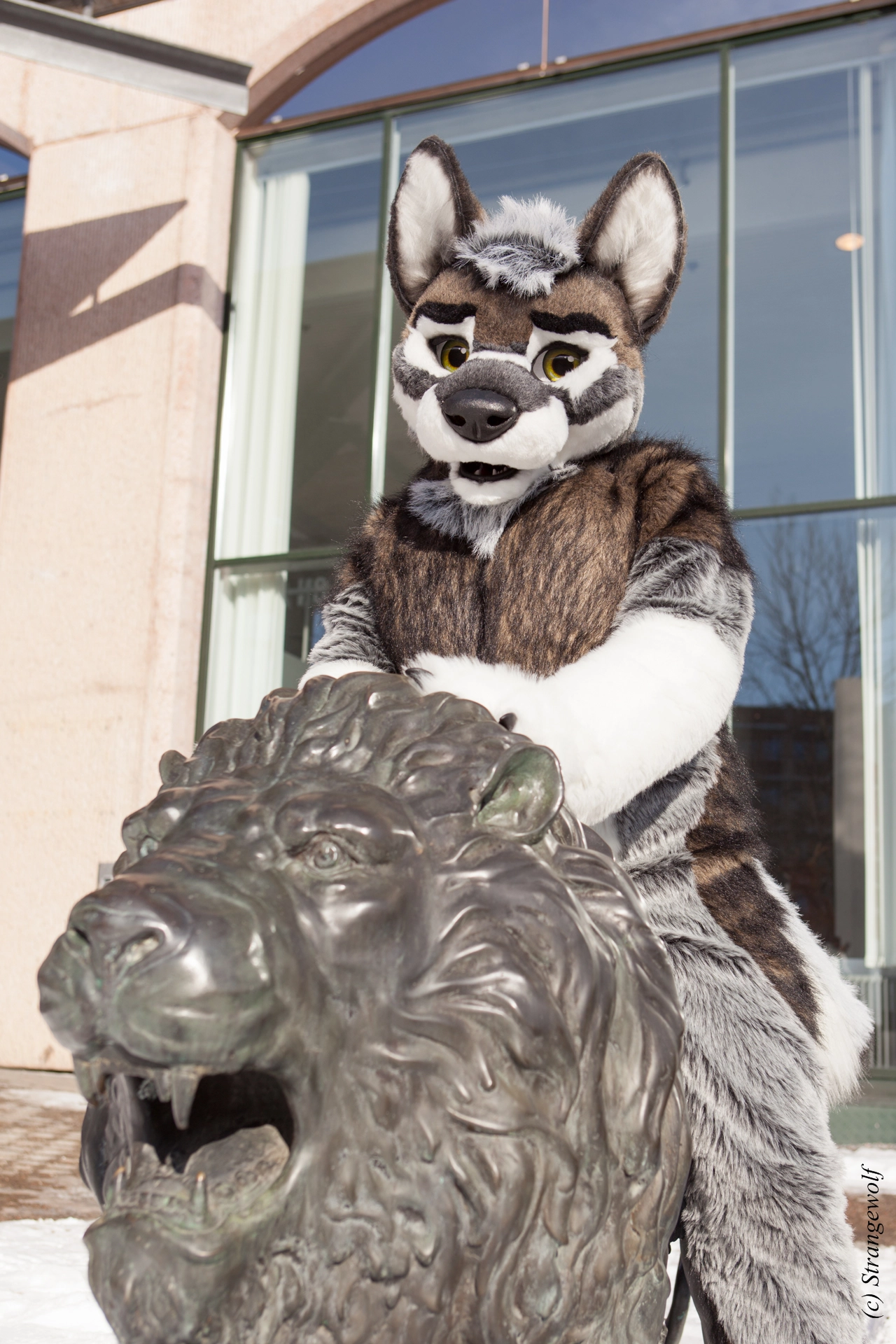 full image IMG_9534-lr19t.jpg