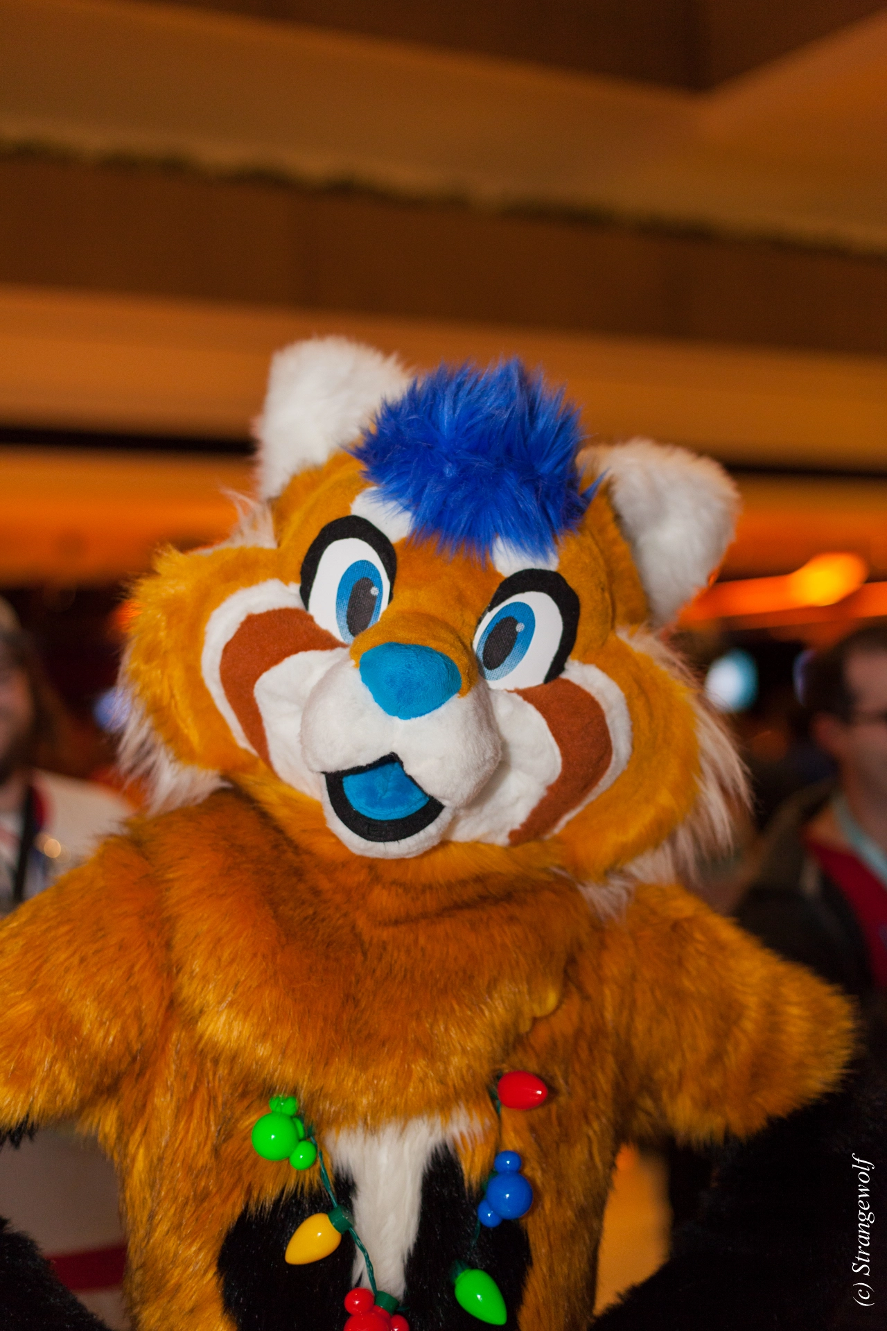 full image IMG_7158-lr19t.jpg