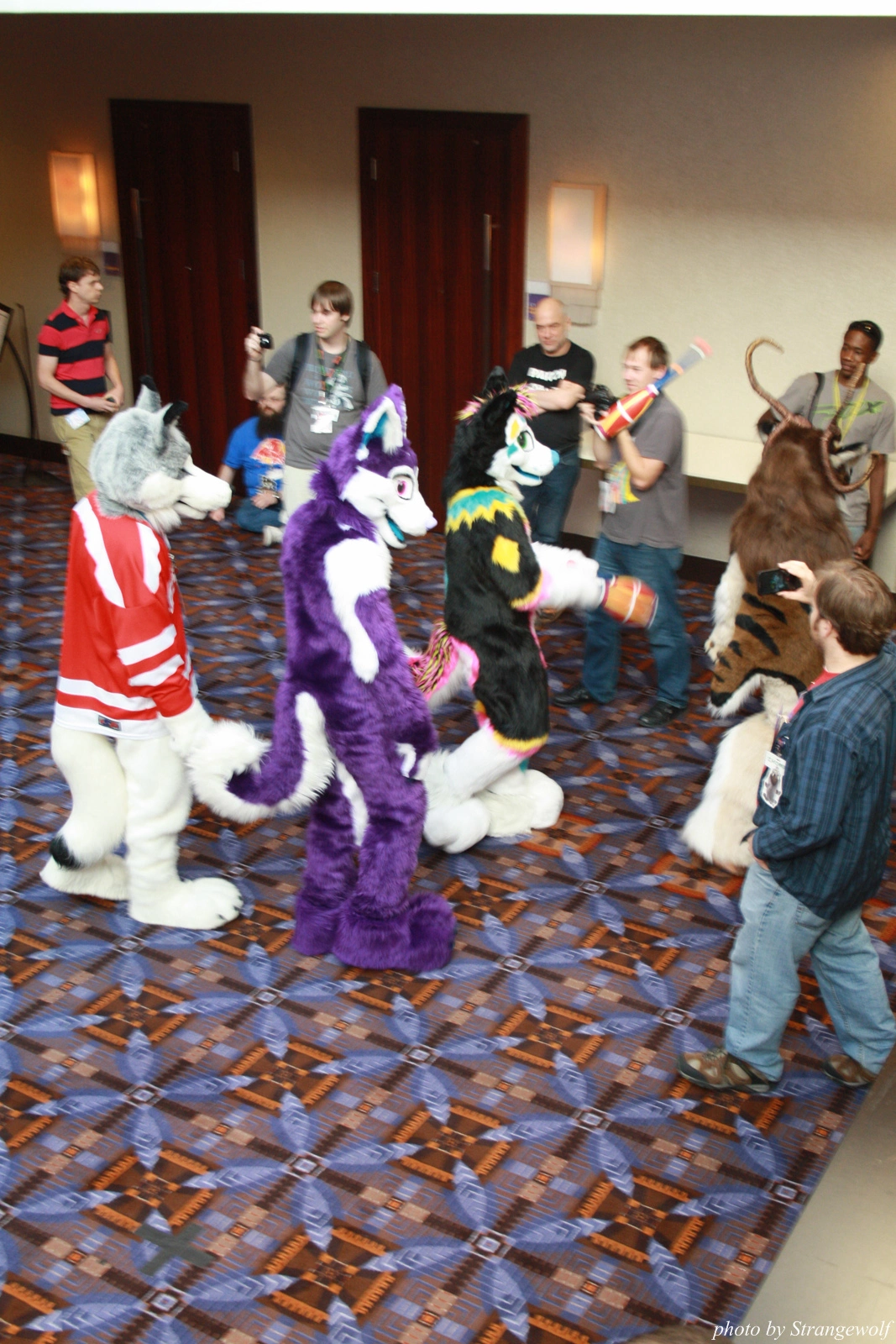 full image IMG_0625-lr.jpg