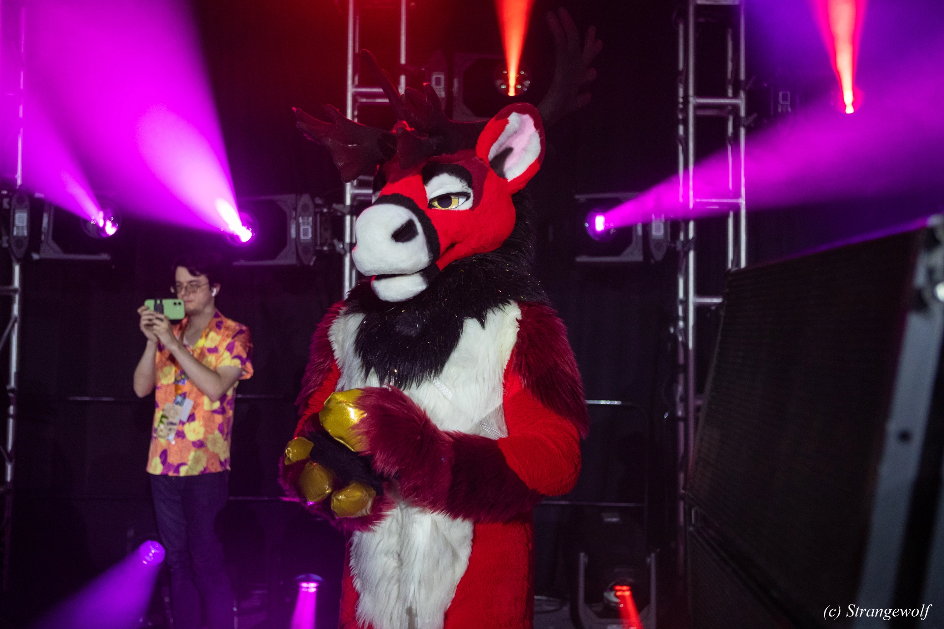 full image 1R3A0922-lr19t.jpg