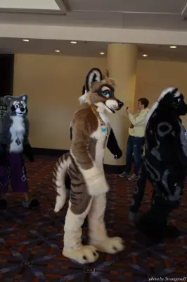 IMG_0539-lr.jpg of MFF/MFF2013/
