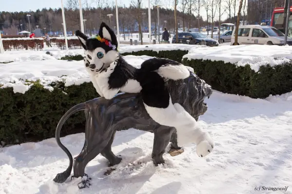 IMG_9795-lr19t.jpg of NFC/NFC2018/