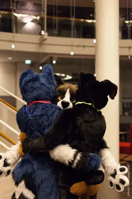 IMG_1977-lr16t.jpg of NFC/NFC2017/