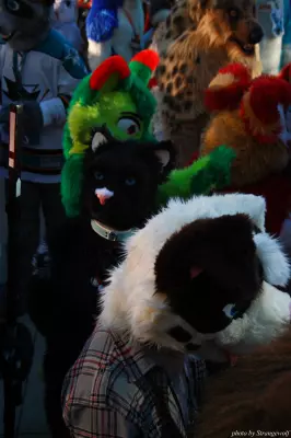 IMG_0695-lr.jpg of MFF/MFF2013/