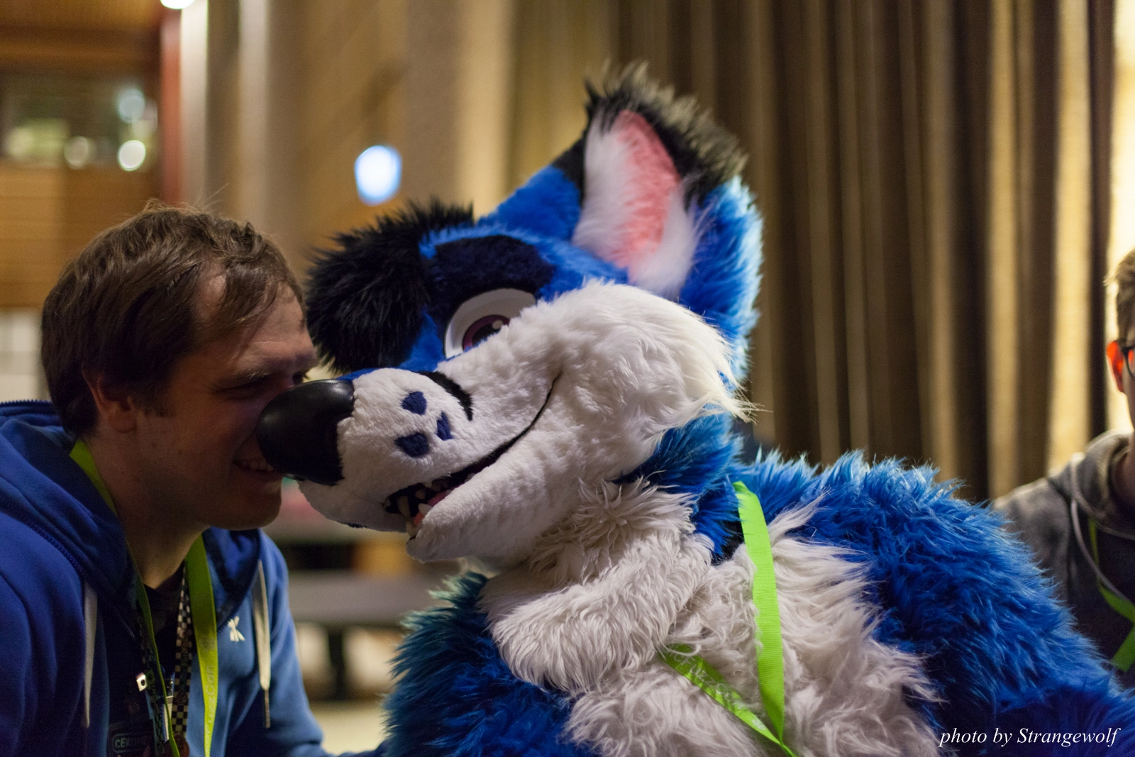 full image IMG_1548-lr16t.jpg