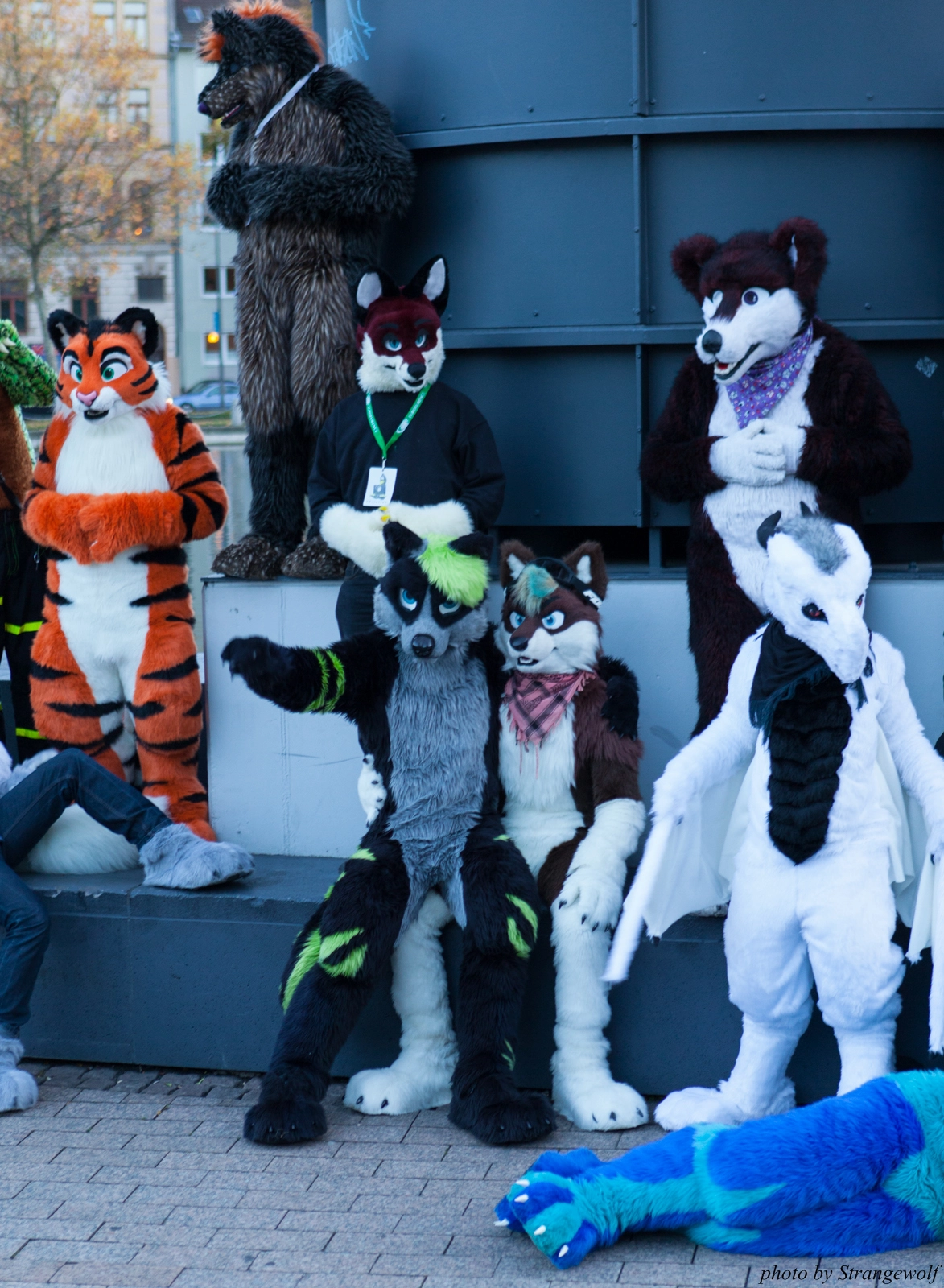 full image IMG_5362-lr16t.jpg