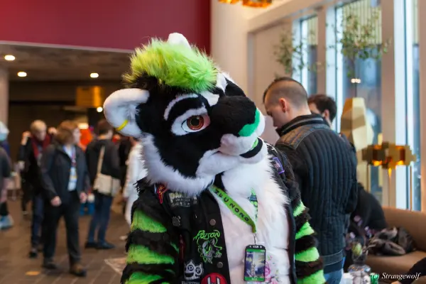 IMG_8565-lr19t.jpg of NFC/NFC2020/