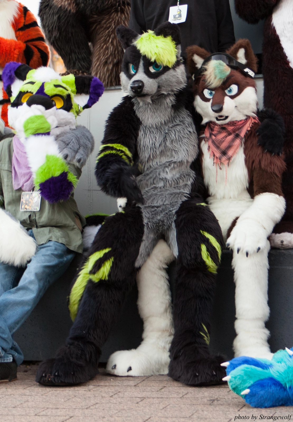 full image IMG_5375-lr16t-2.jpg