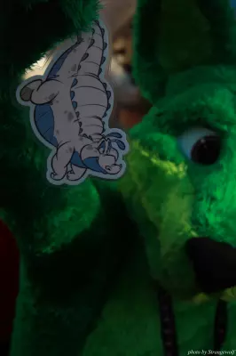 IMG_0680-lr.jpg of MFF/MFF2013/