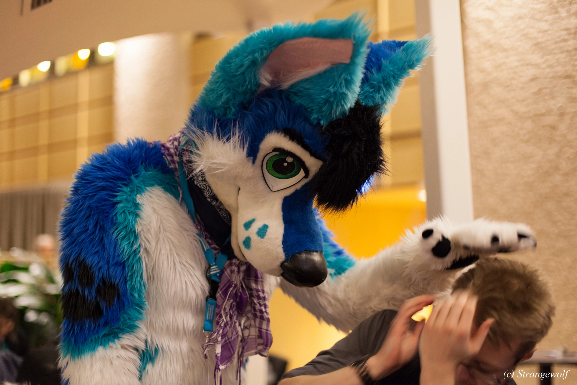 full image IMG_9634-lr19t.jpg