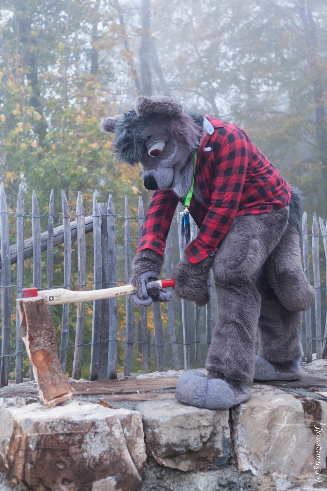 full image IMG_7060-lr19t.jpg