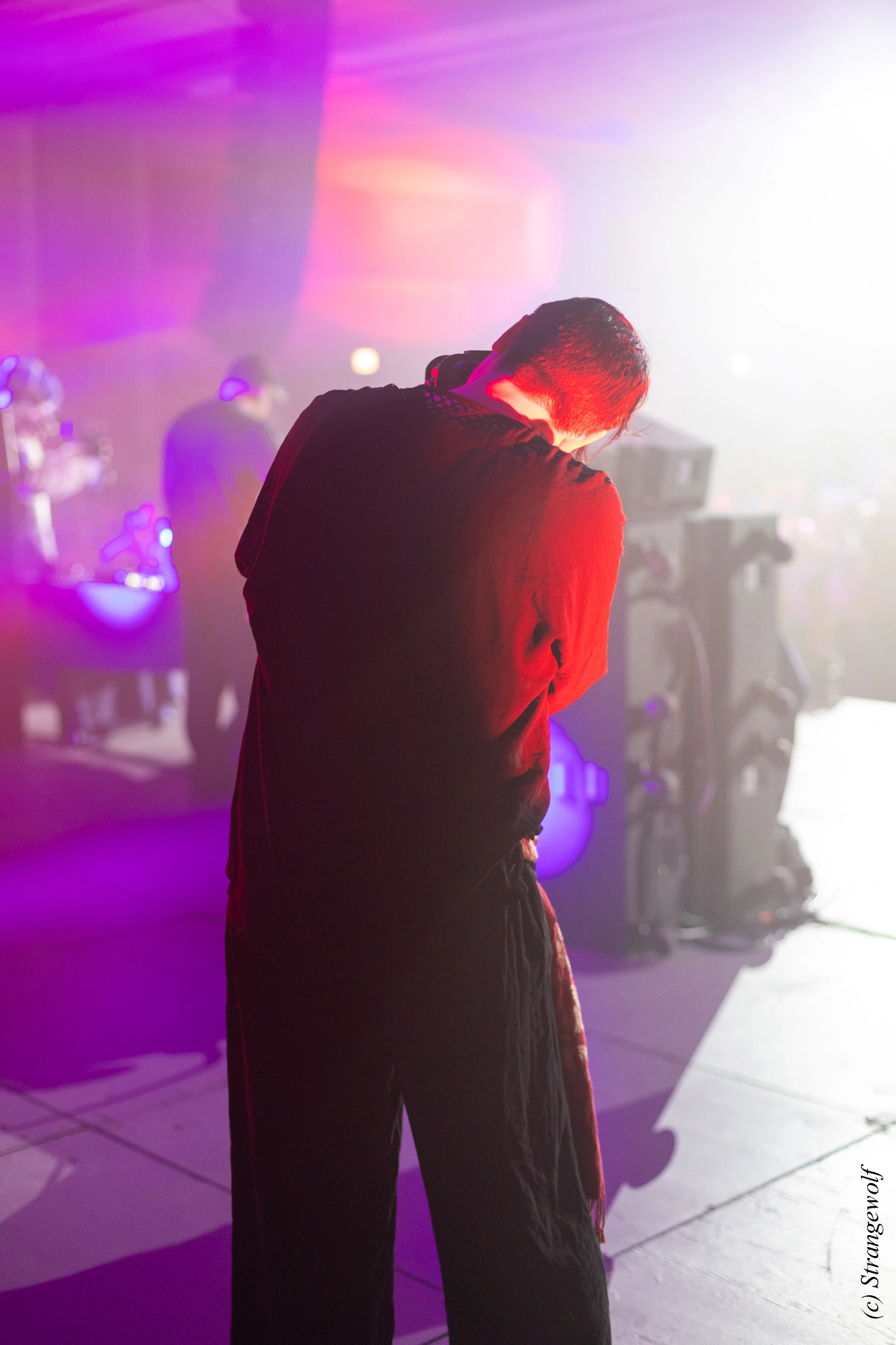 full image 1R3A0787-lr19t.jpg