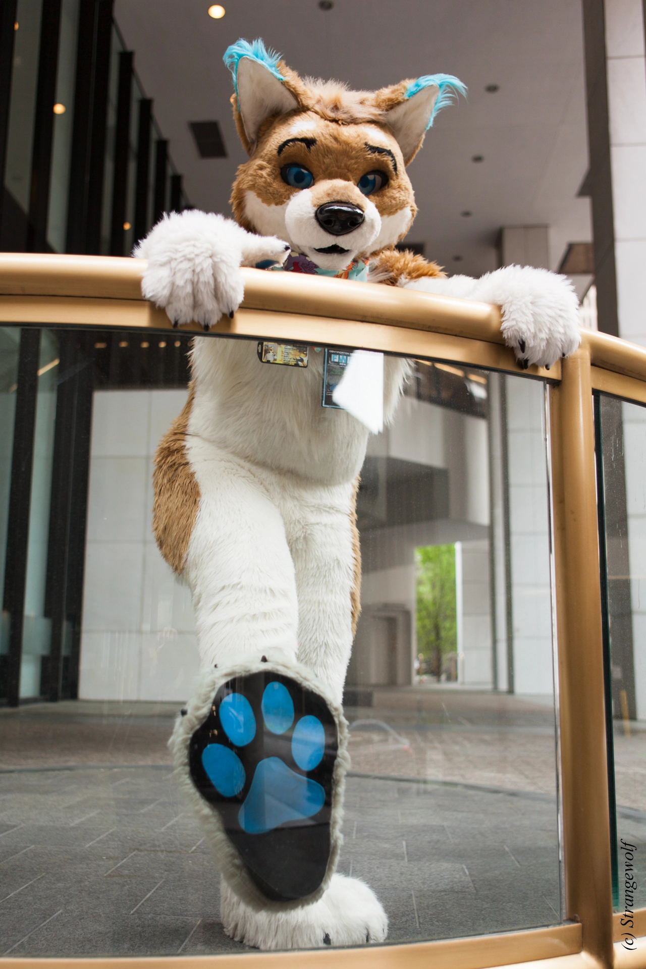 full image IMG_1740-lr19t.jpg