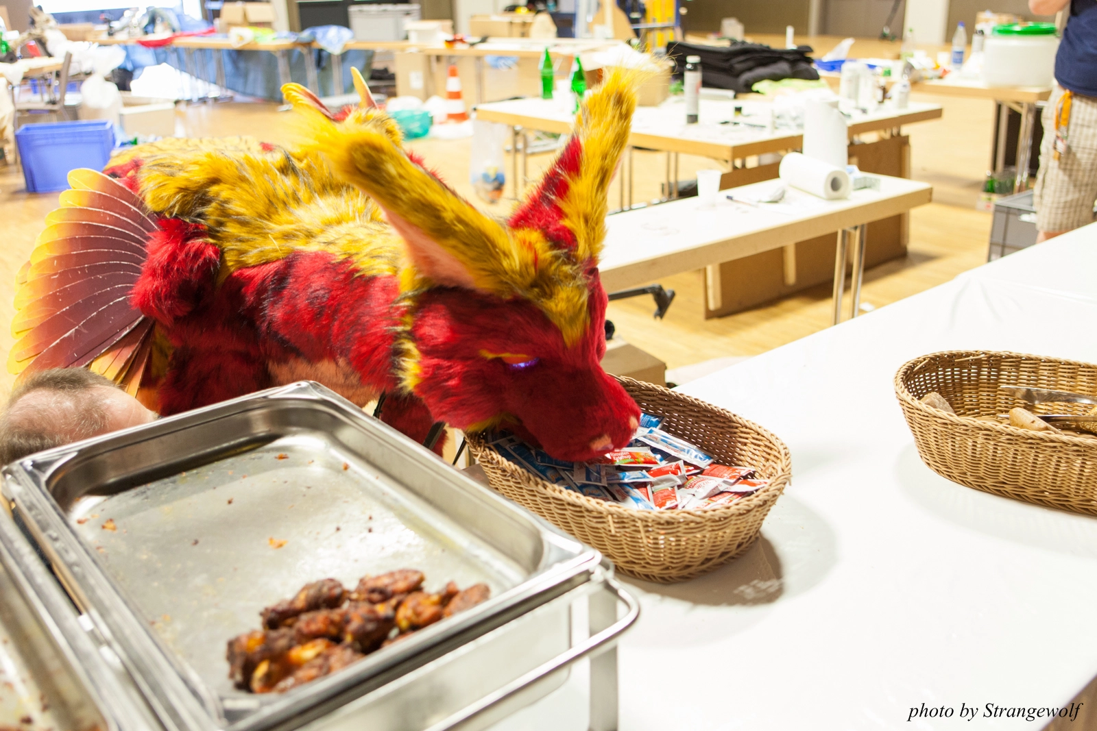 full image IMG_7270-lr16t.jpg