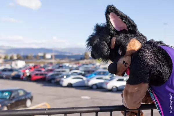 IMG_2512-lr.jpg of BLFC/2018/
