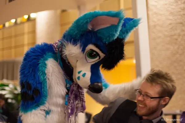 IMG_9633-lr19t.jpg of NFC/NFC2019/