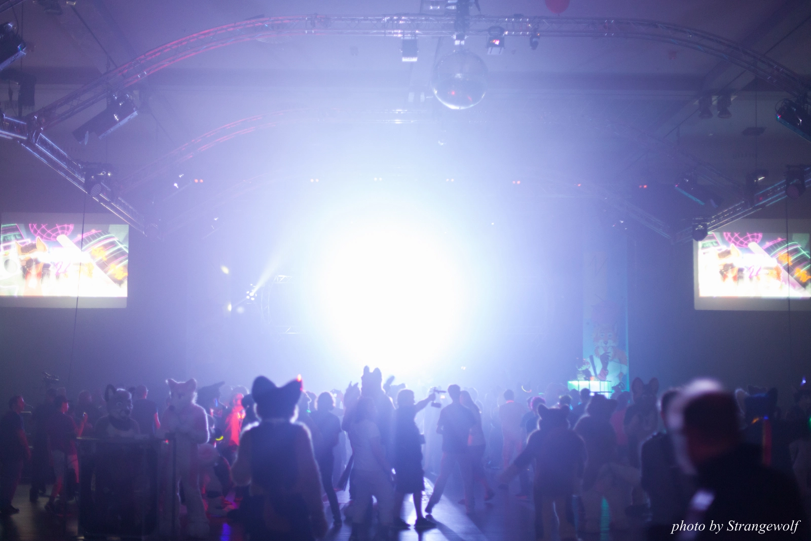 full image IMG_0222-lr16t.jpg