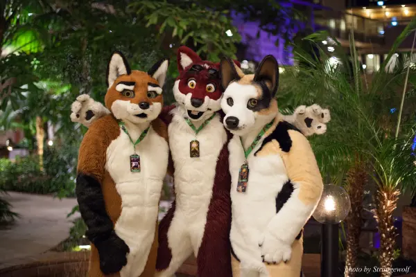 IMG_9320-lr19t.jpg of NFC/NFC2018/