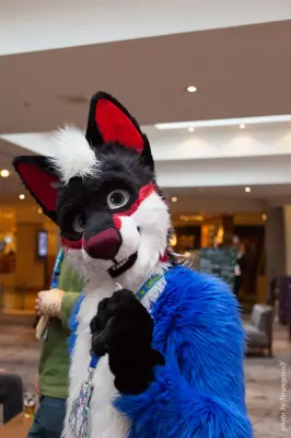 IMG_7550-lr16t.jpg of CFZ/CFZ2016/