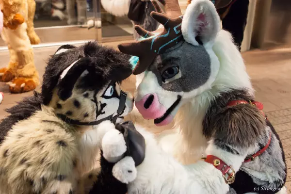 IMG_6868-lr19t.jpg of MFF/MFF2018/