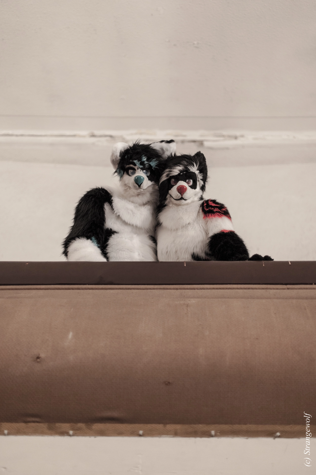 full image IMG_5904-lr19t.jpg