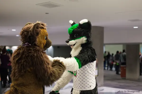 IMG_1154-lr16t.jpg of FC/FC2017/