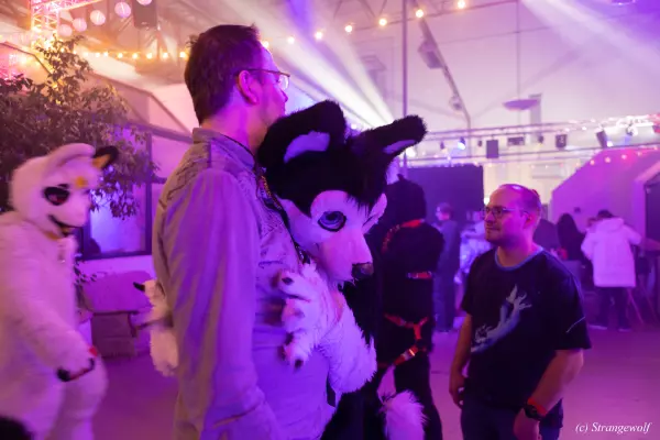 1R3A2705-lr19t.jpg of Furstrike/Furstrike 2022/