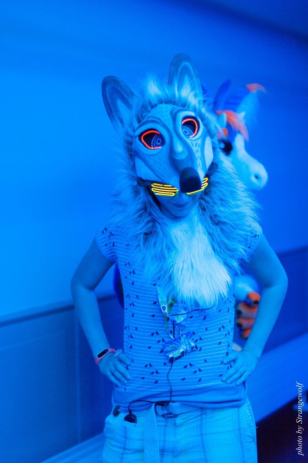 full image IMG_5490-lr16t.jpg