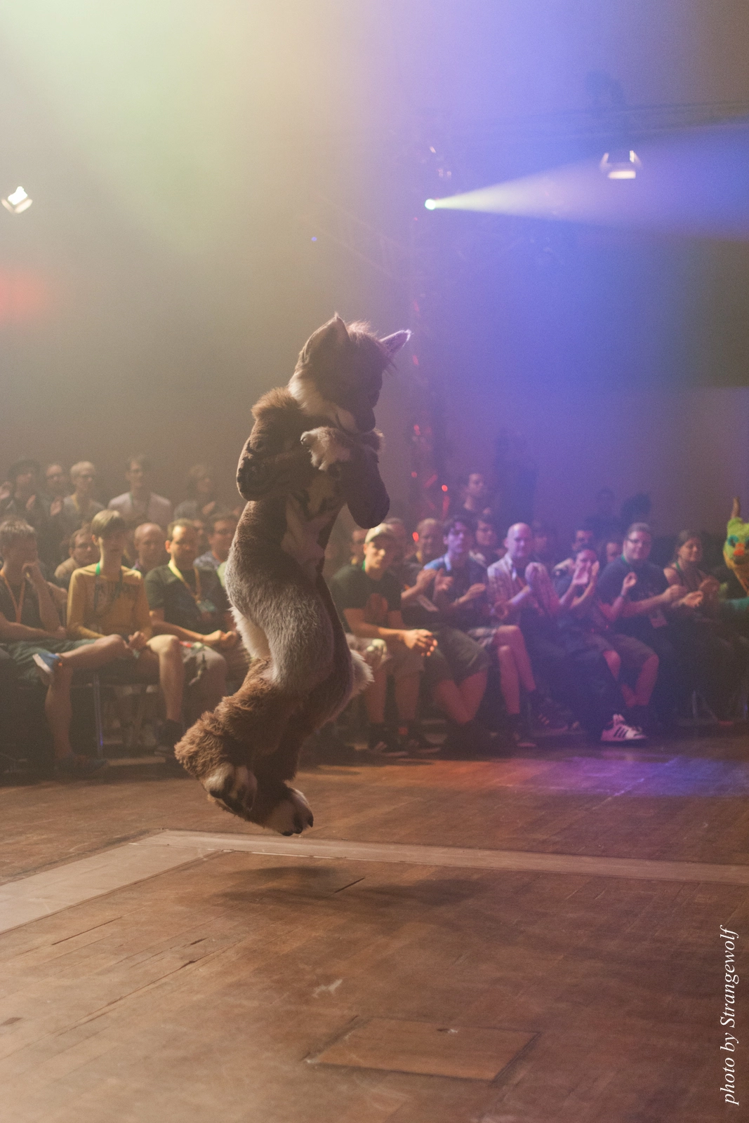 full image IMG_2745-lr16t.jpg
