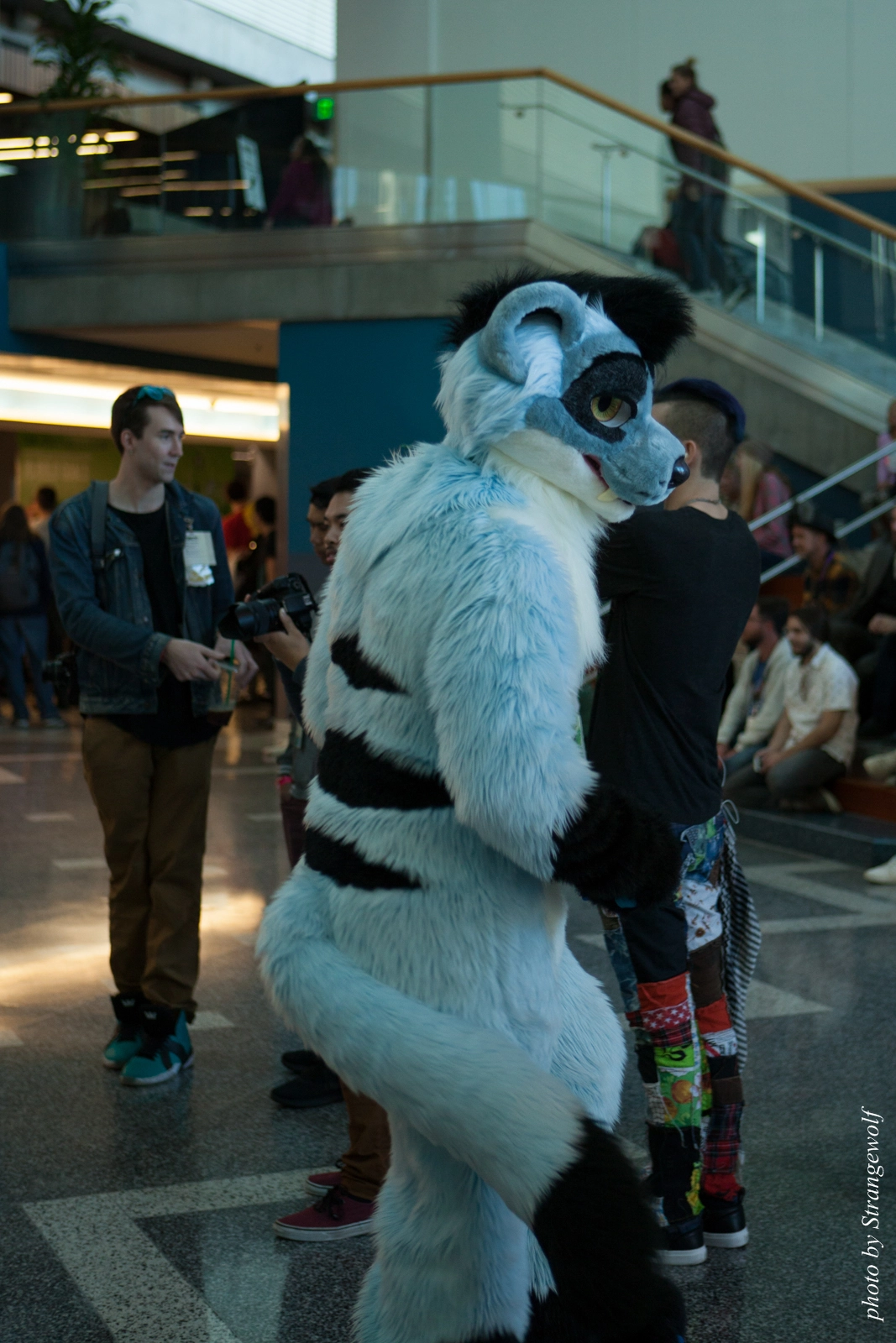 full image IMG_1074-lr16t.jpg