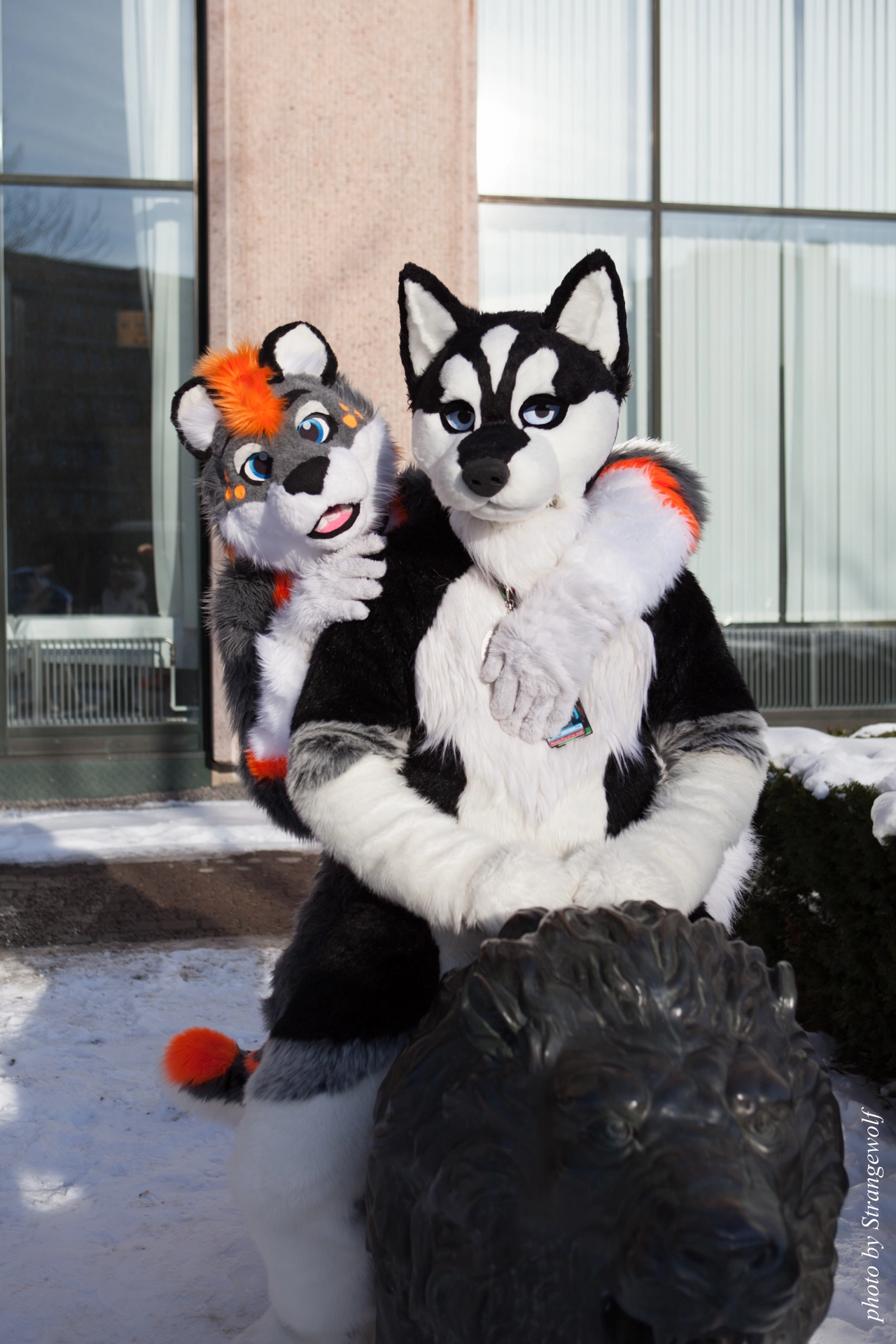 full image IMG_0118-lr19t.jpg