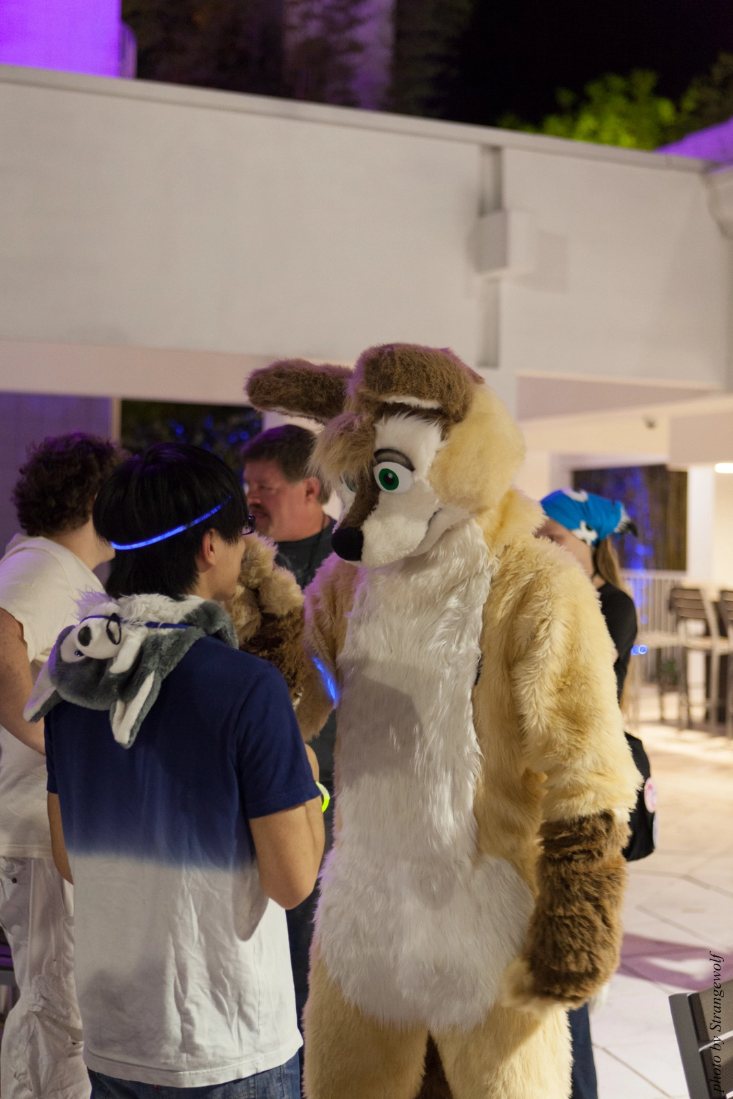 full image IMG_8693-lr16t.jpg