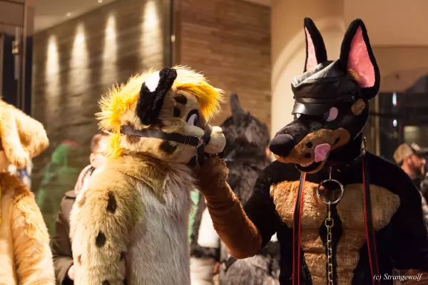 IMG_6897-lr19t.jpg of MFF/MFF2018/
