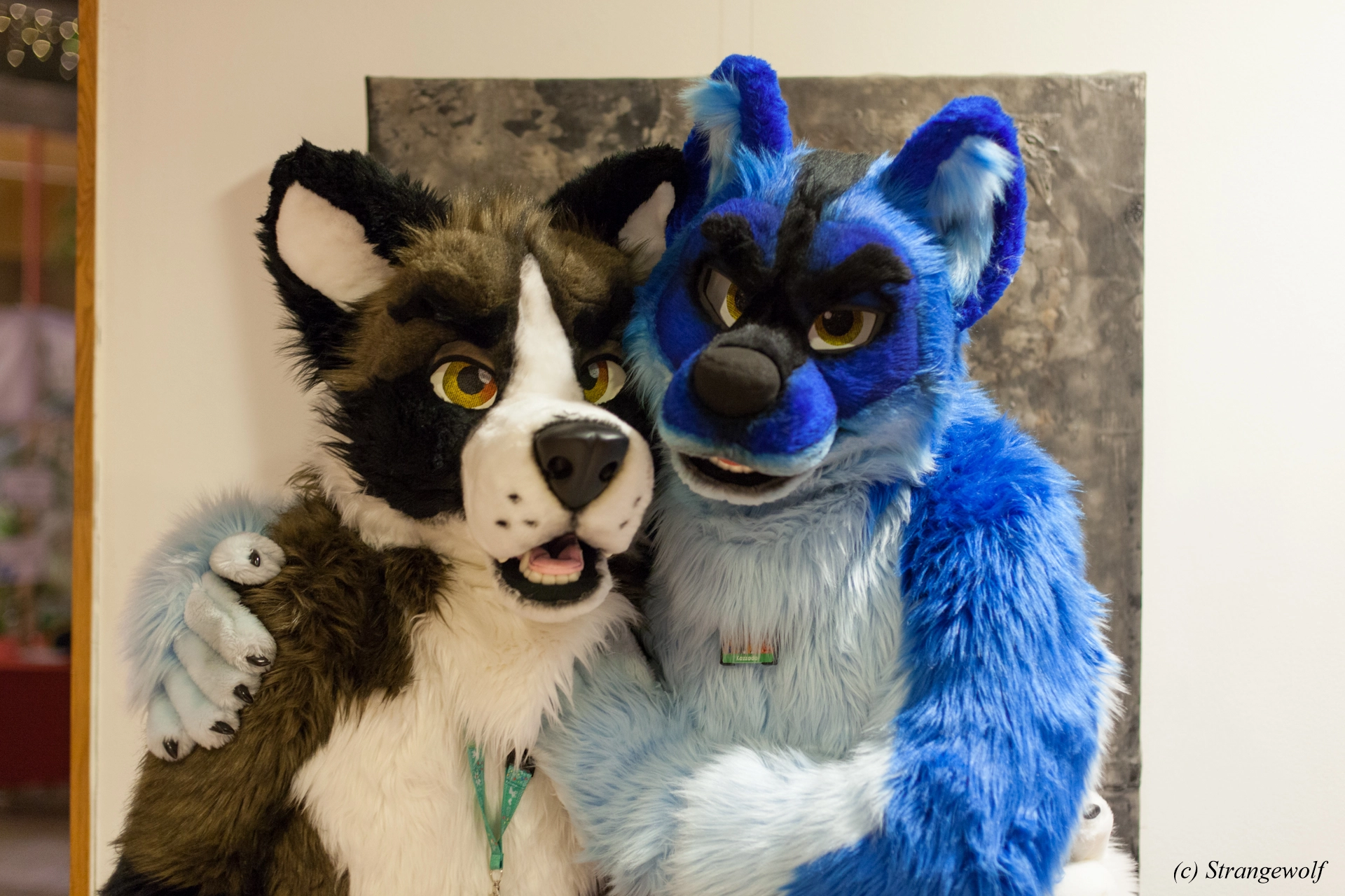 full image IMG_9145-lr19t.jpg