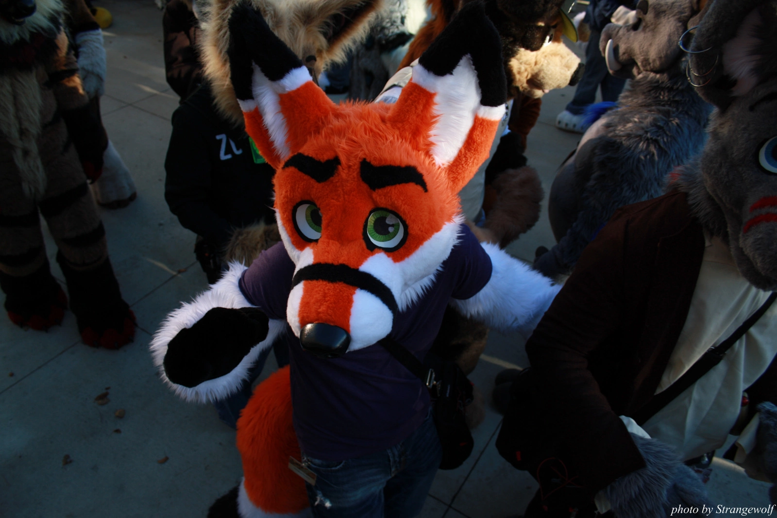 full image IMG_0666-lr.jpg
