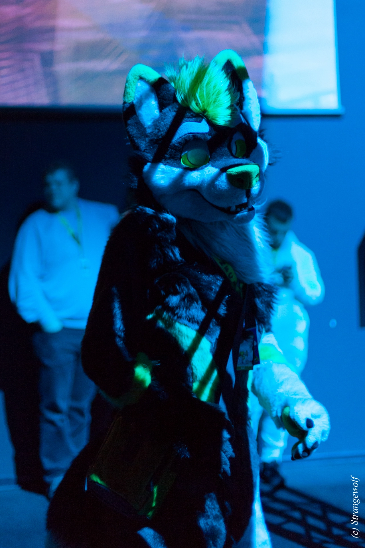 full image IMG_9244-lr19t.jpg