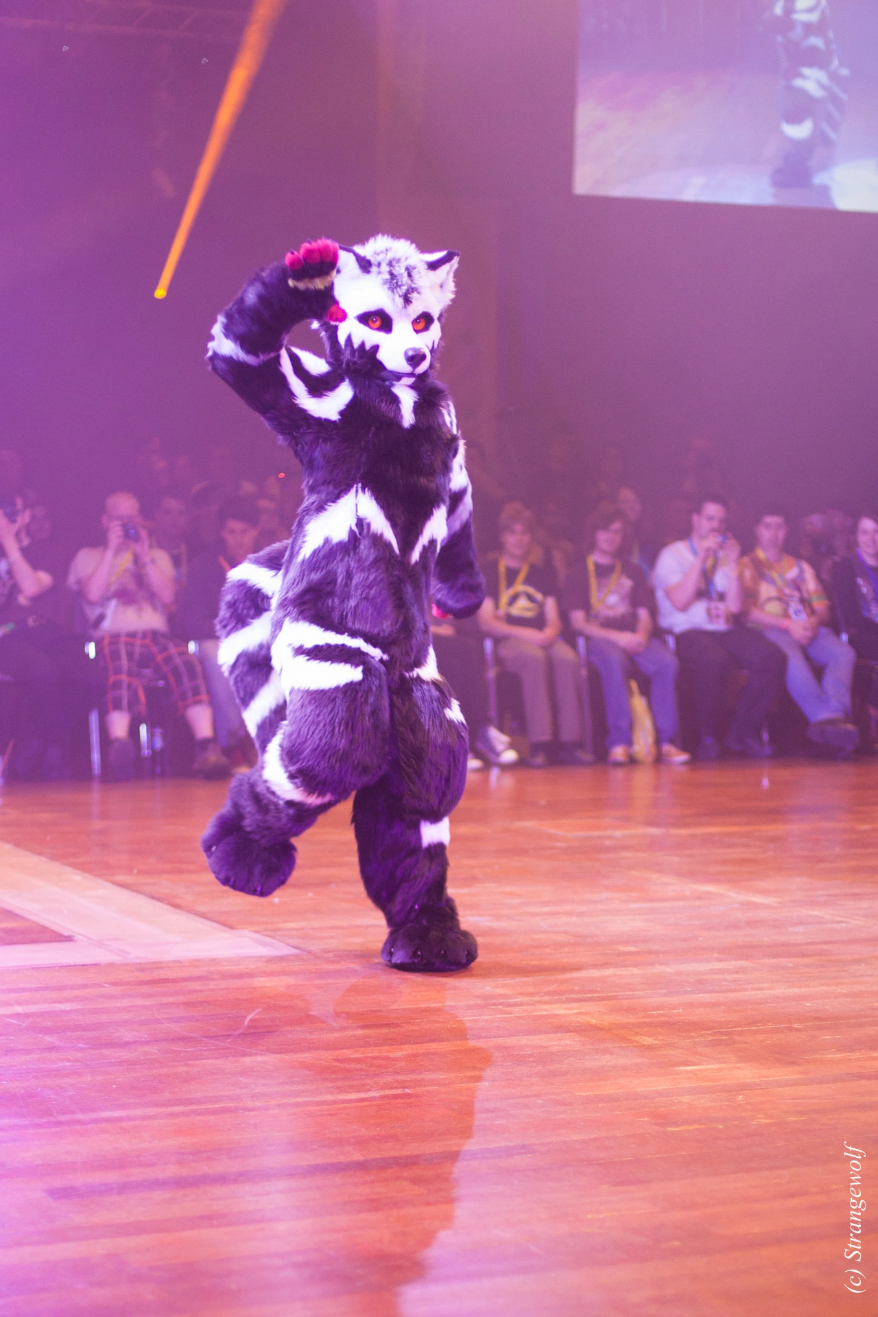 full image IMG_6538-lr19t.jpg