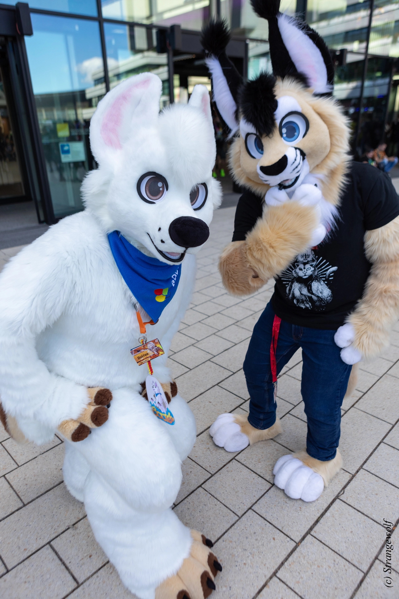 full image 1R3A9267-lr19t.jpg