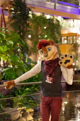 IMG_9887-lr19t.jpg of NFC/NFC2019/